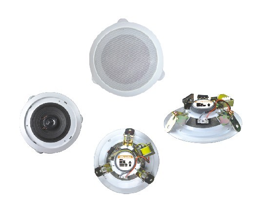 Ceiling Speaker with tweeter