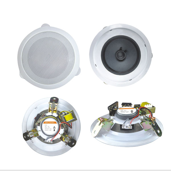 Ceiling Speaker