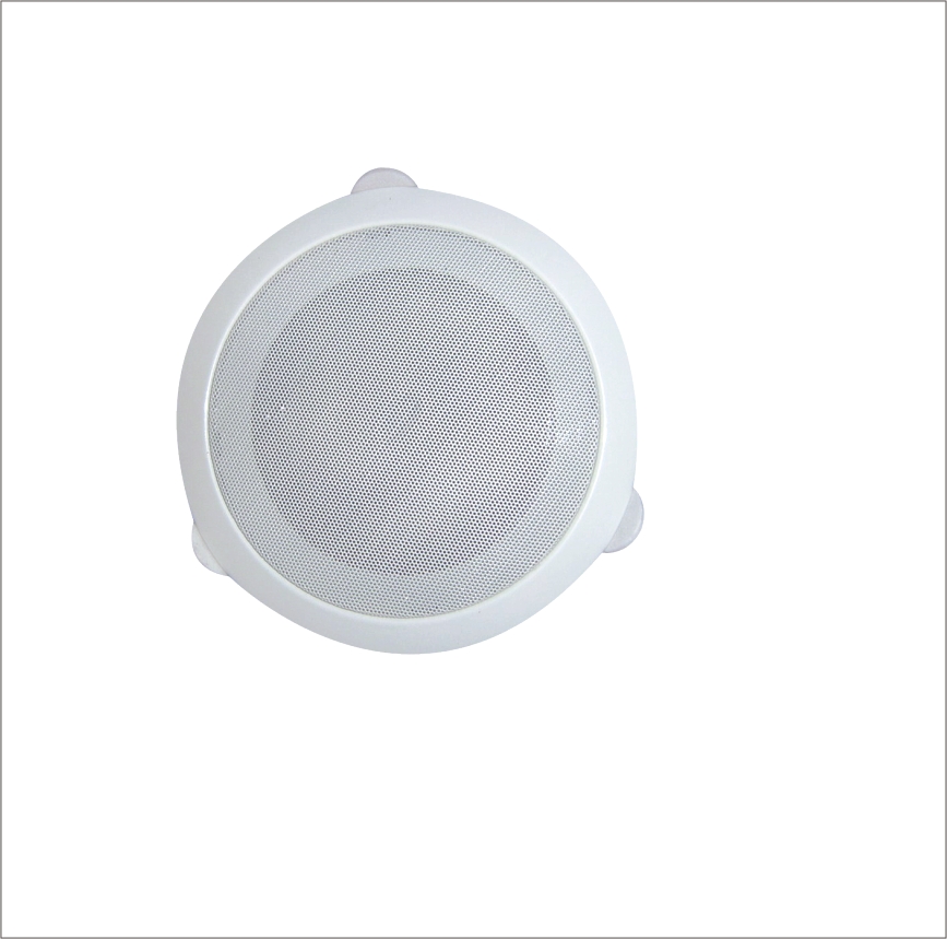 Ceiling Speaker