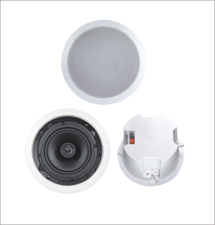 Ceiling Speaker