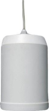 Pendant Speaker