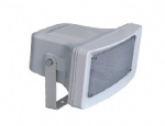Horn Speaker