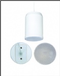 Pendant Speaker